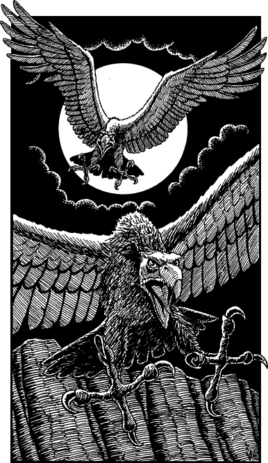 illustration